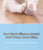 Smart Interactive Rolling Ball - Automatic Cat Toy for Indoor Play
