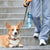Portable Water Cup & Feeder for Dogs - Travel Water Bottle