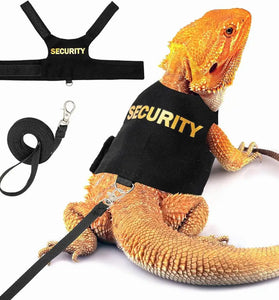 Soft-Padded Lizard Harness & Leash for Bearded Dragons and Small Reptiles