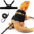 Soft-Padded Lizard Harness & Leash for Bearded Dragons and Small Reptiles