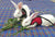 Small Animal Walking Harness and Leash Set for Rabbits, Puppies, and Small Pets