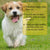 60ml Pet Flea Killer Spray – Long-Lasting Flea, Tick & Lice Control for Cats & Dogs