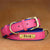 Customized Leather Dog Collar – Soft Padded with Engraved ID Nameplate for All Dog Sizes
