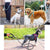 Adjustable Reflective Dog Harness & Leash Set for Small & Large Dogs