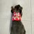 Small Animal Walking Harness and Leash Set for Rabbits, Puppies, and Small Pets