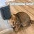 Puppy Joy Cat Scratcher & Grooming Massager