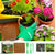 Reptile Coconut Fiber Substrate - Pressed Coir Bedding for Tortoises, Lizards & Terrariums