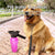 Portable Dog Water Bottle & Drinking Cup for Pets