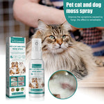 Flea & Tick Spray – Antiparasitic Insecticide for Dogs & Cats, Stops Itching & Fighting