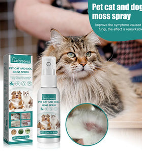 Flea & Tick Spray – Antiparasitic Insecticide for Dogs & Cats, Stops Itching & Fighting