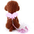 Small Animal Rabbit Harness with Leash Set for Bunny, Guinea Pig, and Ferret