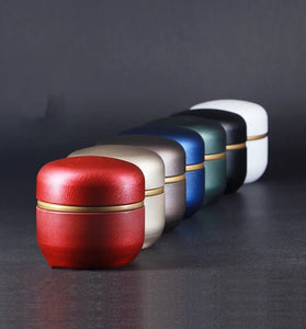 Small Cremation Urn - Mini Iron Keepsake Funeral Casket for Human & Pet Ashes, Memorial Urn