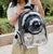 Breathable Transparent Pet Backpack Carrier - Cat & Dog