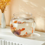 Clear Round Fish Tank - Portable Small Aquarium Bowl for Ornamental Fish