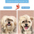 Puppy Joy Pet Hair Remover & Grooming Brush