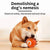 Smart Interactive Dog Toy Ball - USB Rechargeable Moving & Bouncing