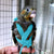 Adjustable Parrot Harness & Flying Leash for Outdoor Training