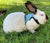 Adjustable Pet Harness & Leash for Rabbits, Bunnies, & Cats