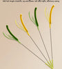 Kimpets Cat & Dog Teasing Stick - Feather Tail with Long Pole