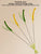 Kimpets Cat & Dog Teasing Stick - Feather Tail with Long Pole