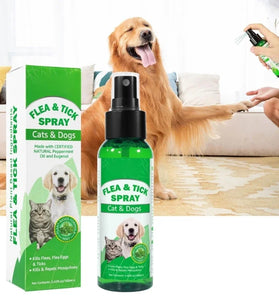 100ml Flea & Tick Prevention – Powerful Control for Cats & Dogs, Including Flea Eggs