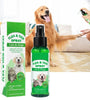 100ml Flea & Tick Prevention – Powerful Control for Cats & Dogs, Including Flea Eggs