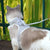 Adjustable Cat & Dog Harness with Leash - Cute Mesh Vest