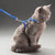 Adjustable Rabbit & Cat Harness and Leash Set for Outdoor Walking