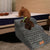 3-Layer Pet Stairs – Portable Climbing Ladder for Small Dogs & Cats, Indoor Ramp