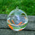 Hanging Glass Fish Tank - Round/Rectangle Aquarium with Rack Holder