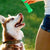 Rubber Bone Dog Chew Toy - Dental Care for Aggressive Chewers