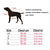 Reflective Dog Harness – Nylon Vest for Small, Medium & Large Dogs