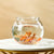 Clear Fish Bowl Aquarium Decoration - Tree Ornament for Home & Office