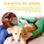 2ml Pet Flea & Tick Drops – Long-Lasting Insect Repellent for Dogs & Cats