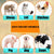 Pet Skin Spray – Flea, Tick & Mosquito Repellent for Dogs, Cats, and Home Protection