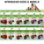 Pet Grooming Brush - Hair Removal & Massage Comb for Cats and Dogs