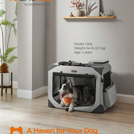 Collapsible XL Dog Crate with Metal Frame, Oxford Fabric, Mesh, and Handle