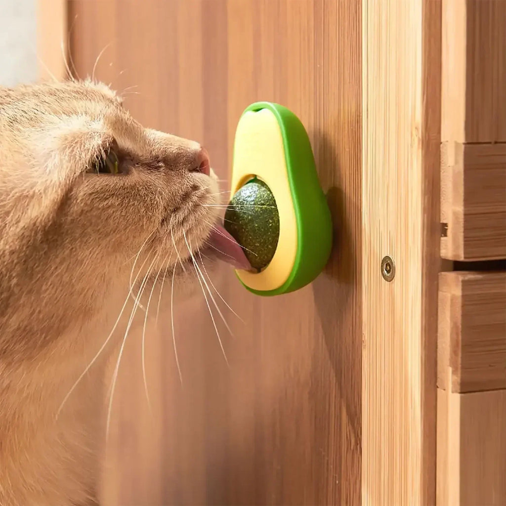 Rotatable Cat Mint Teeth Cleaning Toy