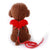 Small Animal Rabbit Harness with Leash Set for Bunny, Guinea Pig, and Ferret