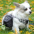 Portable Dog Treat Training Pouch with Waste Bag Dispenser