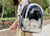Breathable Transparent Pet Backpack Carrier - Cat & Dog