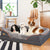 Orthopedic Dog Bed with Bolster, Foam, and Removable Cover (L-3XL)