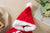 Funny Cat Christmas Costume – Santa Cape with Hat & Scarf