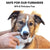 Super Soft Pet Finger Toothbrush for Dogs & Cats