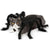 Spider Halloween Costume – Pet Cosplay for Small & Medium Dogs and Cats