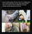 Portable Mastitis Tester – Cow Detection for Bovine Recessive Mastitis