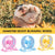 Silent Hamster & Rodent Running Wheel - Exercise Toy with Bracket