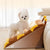 2/3-Step Dog Stairs – Anti-Slip Pet Ramp Ladder for Small Dogs & Cats