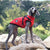 Winter Dog Coat & Jacket - Reflective Pet Apparel for Small to Medium Dogs, Chihuahua, French Bulldog, Pug
