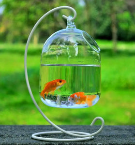 Hanging Glass Fish Tank - Round/Rectangle Aquarium with Rack Holder